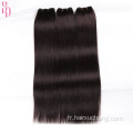 12a Vierge Vierge Vietnamien Packs de cheveux Vendeur Vendeur en gros Cuticule alignée 100% Human Hair Pack